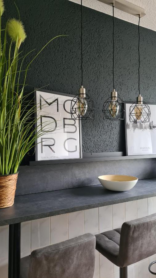 Ferienwohnung, Monteurwohnung, Elise Apartment Magdeburg